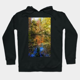 Fall Trees Hoodie